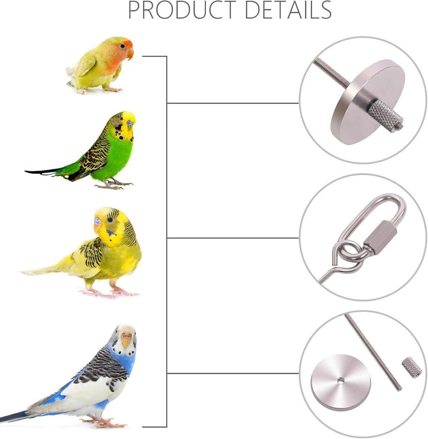 Stainless Steel Bird Food Holder and Foraging Toy for Parrots - Small Size Fruit and Vegetable Skewer