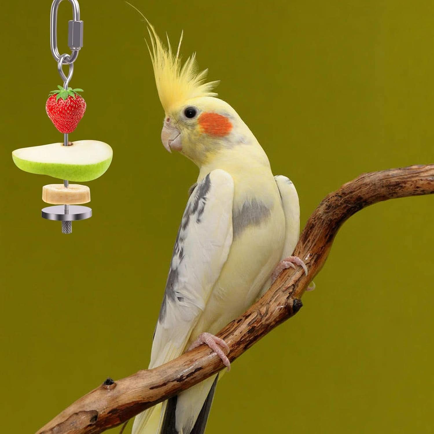 Stainless Steel Bird Food Holder and Foraging Toy for Parrots - Small Size Fruit and Vegetable Skewer