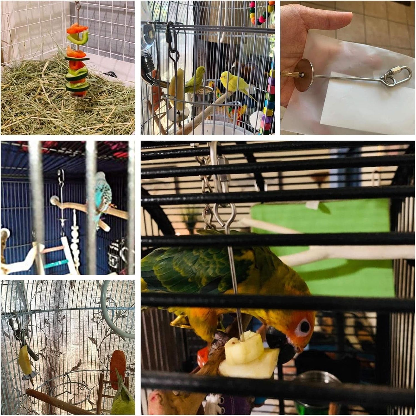 Stainless Steel Bird Food Holder and Foraging Toy for Parrots - Small Size Fruit and Vegetable Skewer