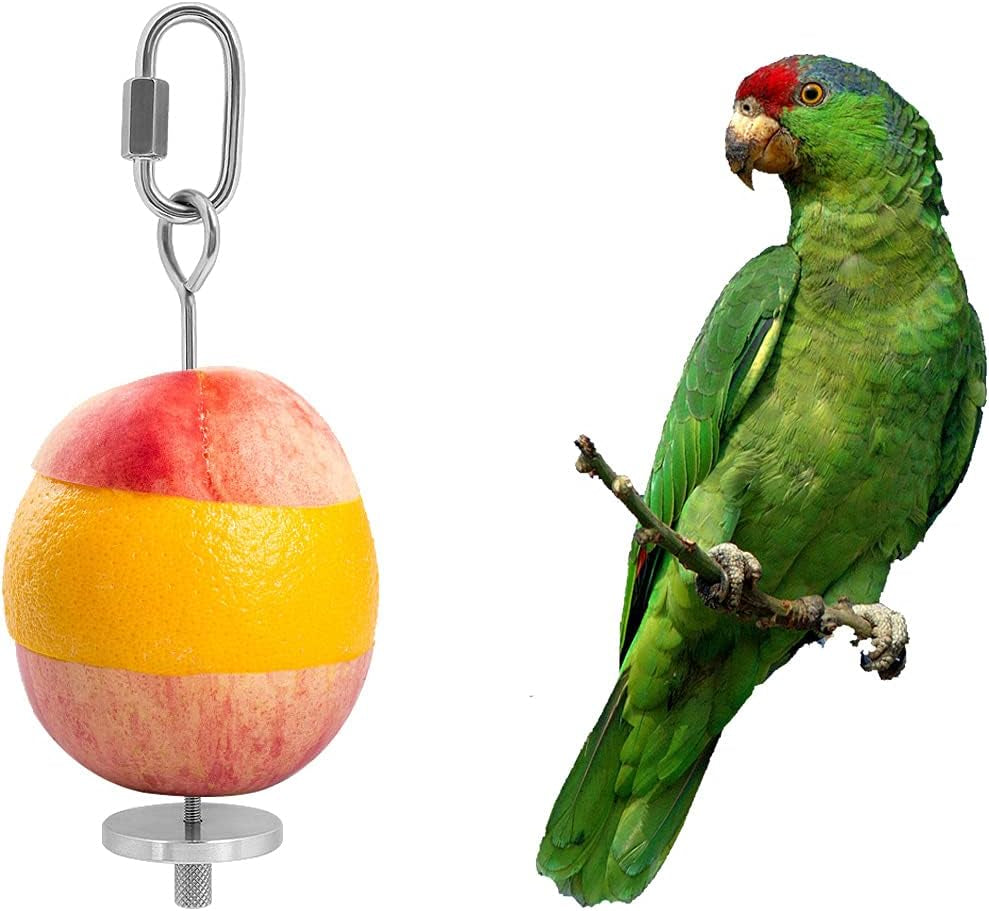 Stainless Steel Bird Food Holder and Foraging Toy, Parrot Fruit and Vegetable Skewer, 4.7 Inch