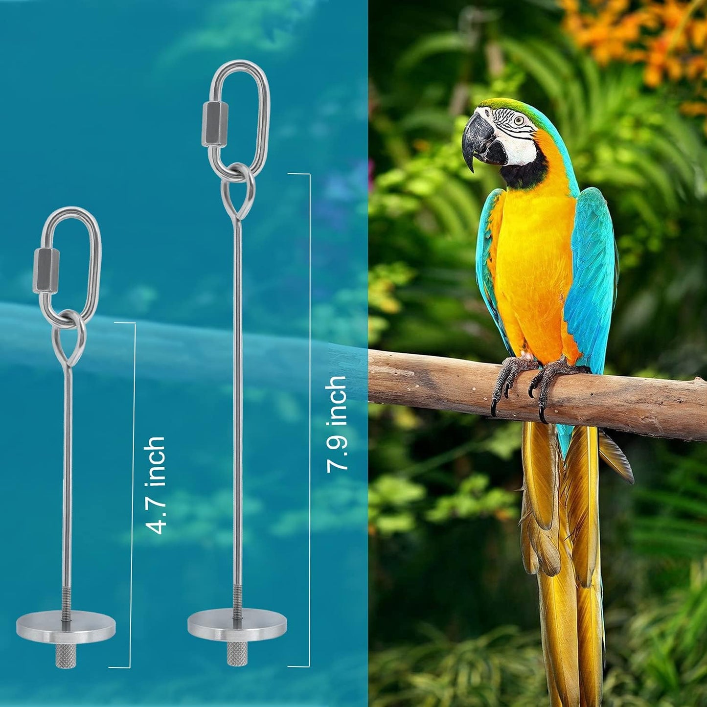 Stainless Steel Bird Food Holder and Foraging Toy, Parrot Fruit and Vegetable Skewer, 4.7 Inch