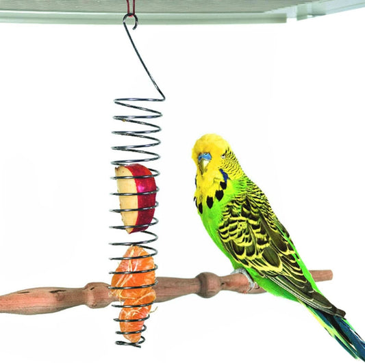 Stainless Steel Bird Food Holder - Foraging Toy for Parrots, 25 cm Long, 82 g Weight, Suitable for Nuts, Fruits, Vegetables, Grains, and Chew Toys for Conures, Parakeets, and Cockatoos