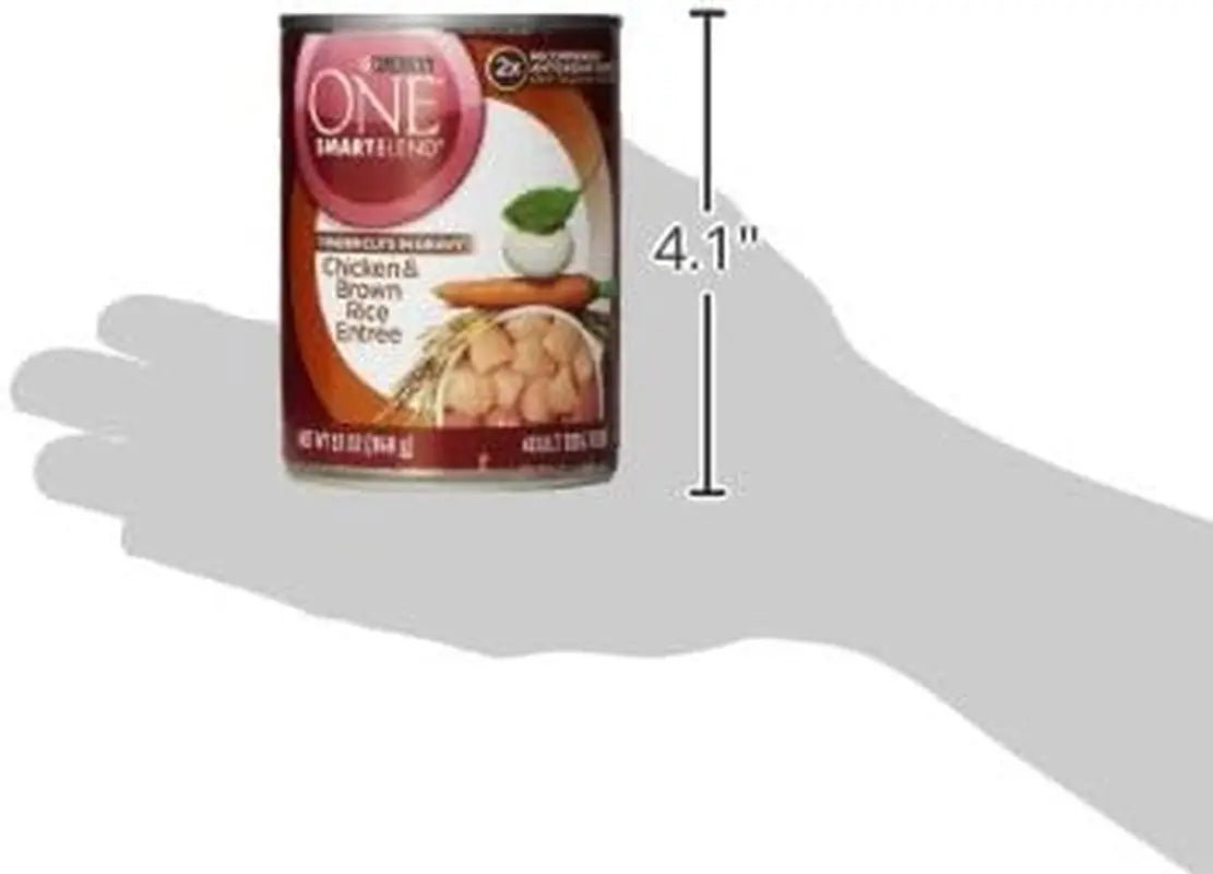 Tender Cuts Chicken and Brown Rice Wet Dog Food in Gravy - 12 Pack, 13 oz Cans