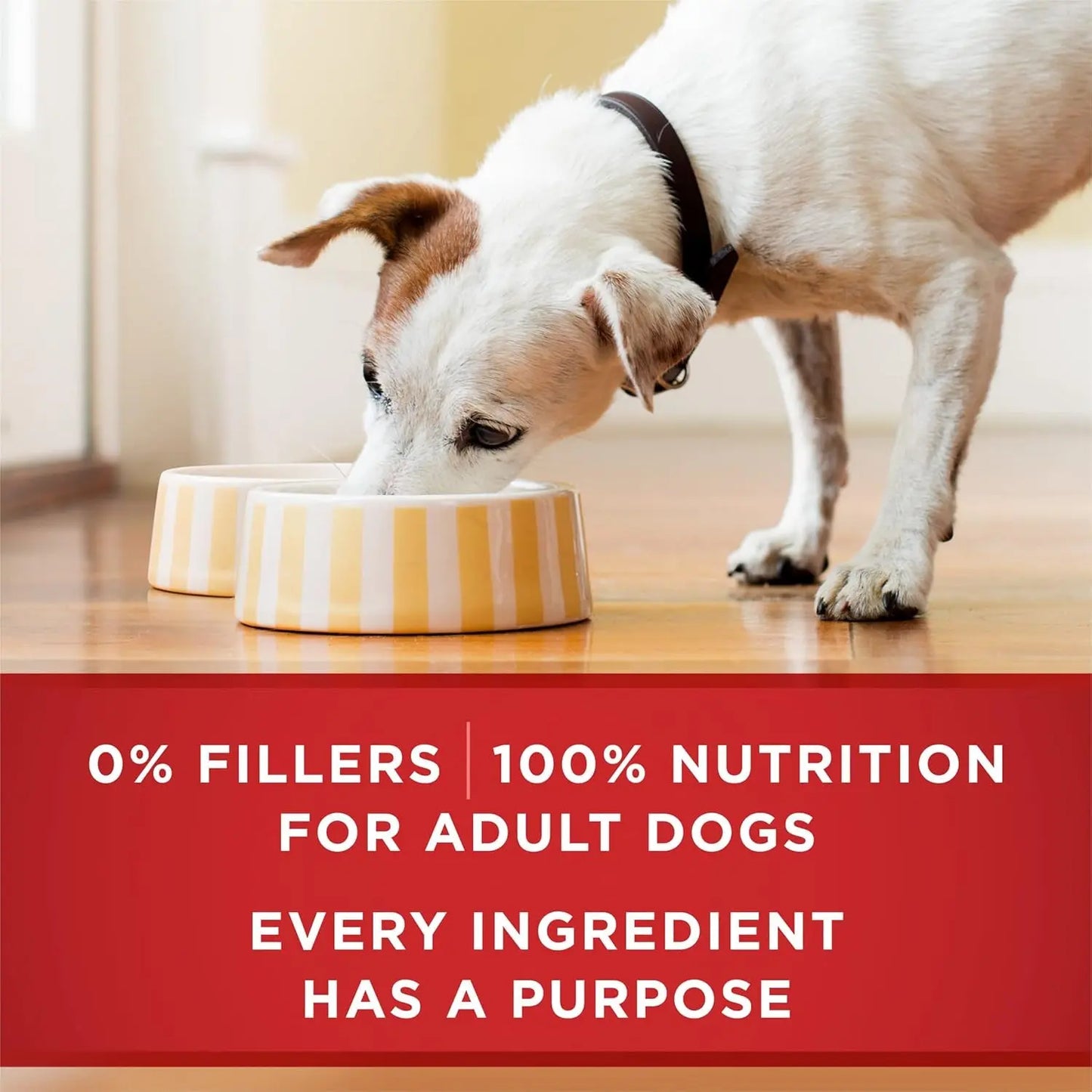 Tender Cuts Chicken and Brown Rice Wet Dog Food in Gravy - 12 Pack, 13 oz Cans