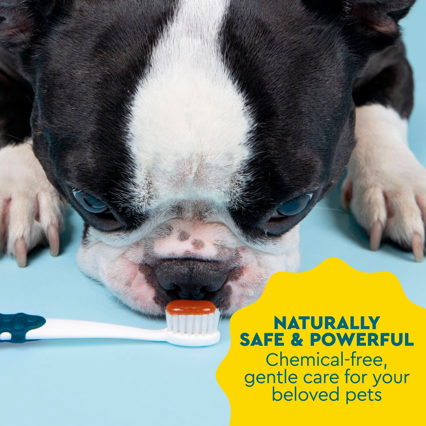USDA Organic Canine Dog Gel Pet Toothpaste, Sweet Potato Cinnamon Flavor, 3.0 Oz Tube