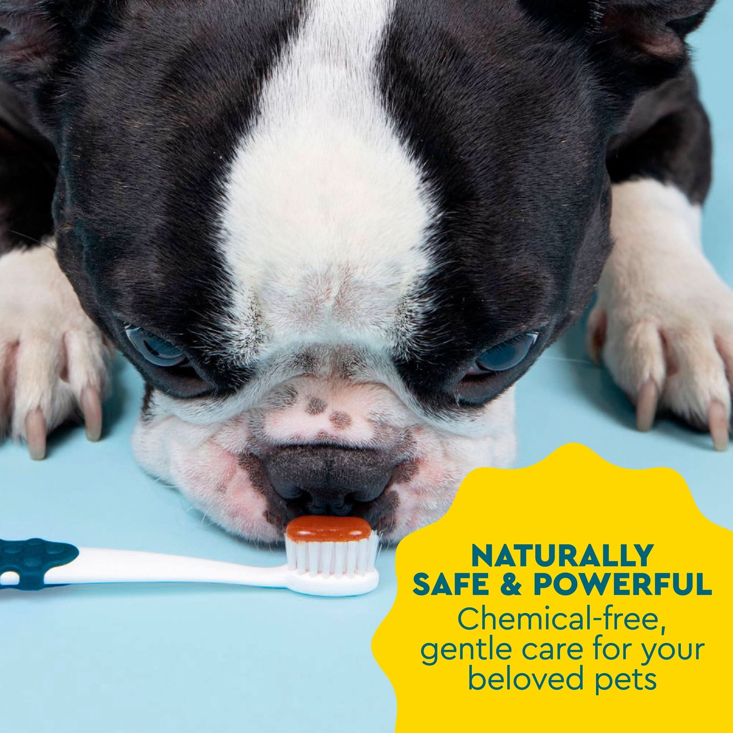 USDA Organic Canine Dog Gel Pet Toothpaste, Sweet Potato Cinnamon Flavor, 3.0 Oz Tube