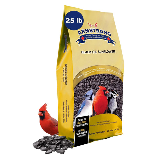 Wild Bird Food Black Oil Sunflower Bird Seed, 25 Pounds - for Northern Cardinals, Blue Jays, Hairy Woodpeckers and Goldfinches - Ideal for outside Feeders