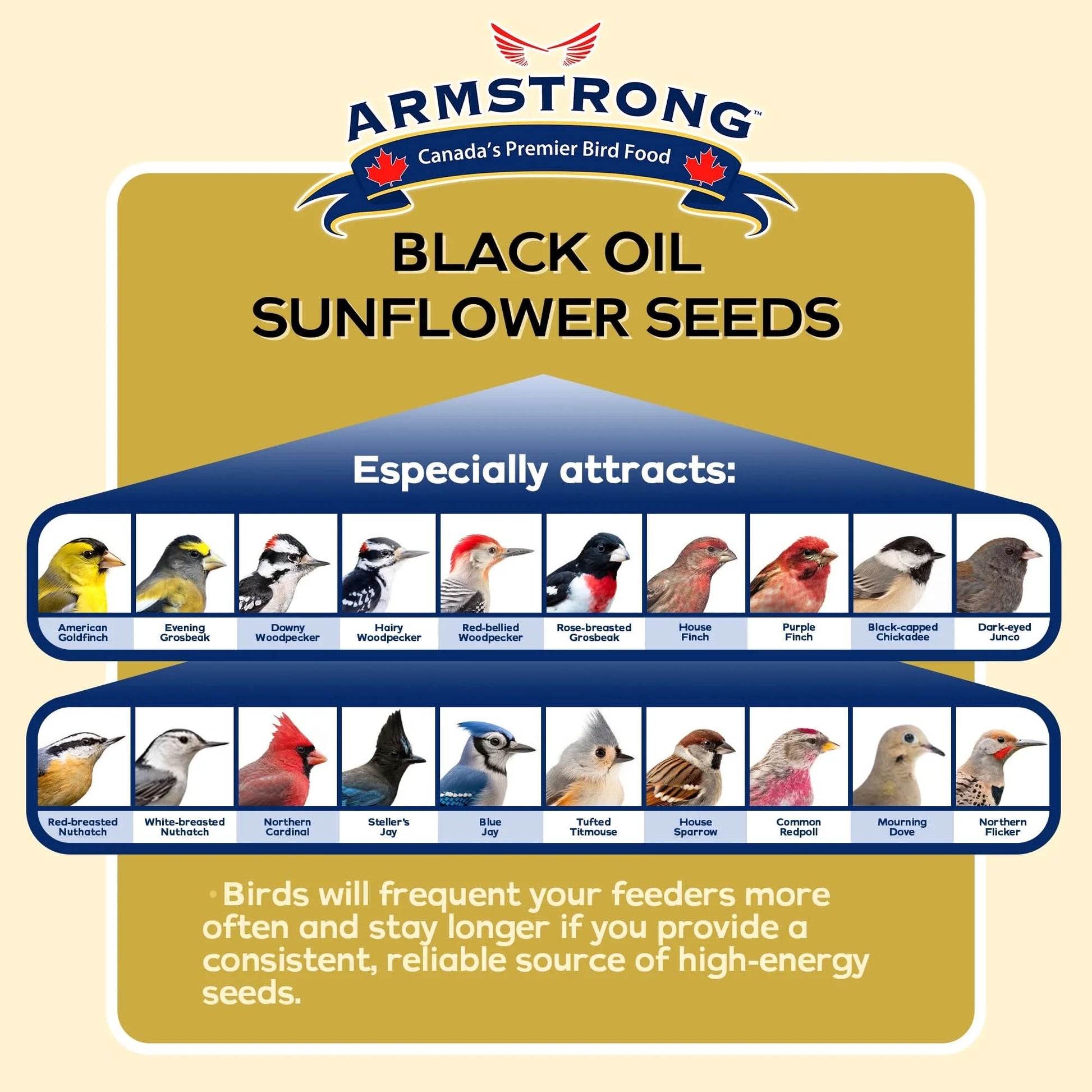 Wild Bird Food Black Oil Sunflower Bird Seed, 25 Pounds - for Northern Cardinals, Blue Jays, Hairy Woodpeckers and Goldfinches - Ideal for outside Feeders
