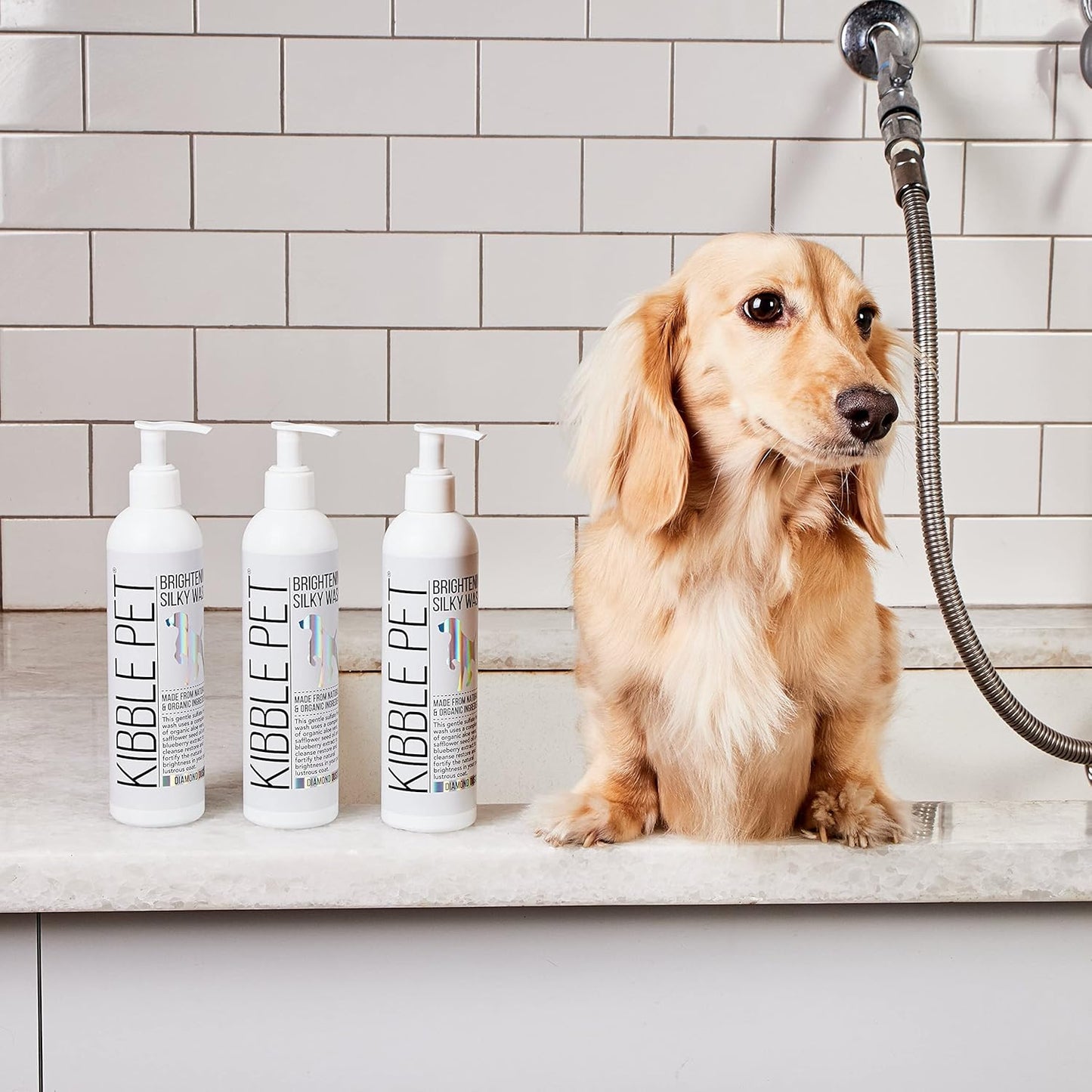 Brightening Silky Wash Dog Shampoo - Natural & Organic Grooming Treatment for Coat Cleansing and Restoration, Sulfate-Free, Made in the USA, 10 Oz