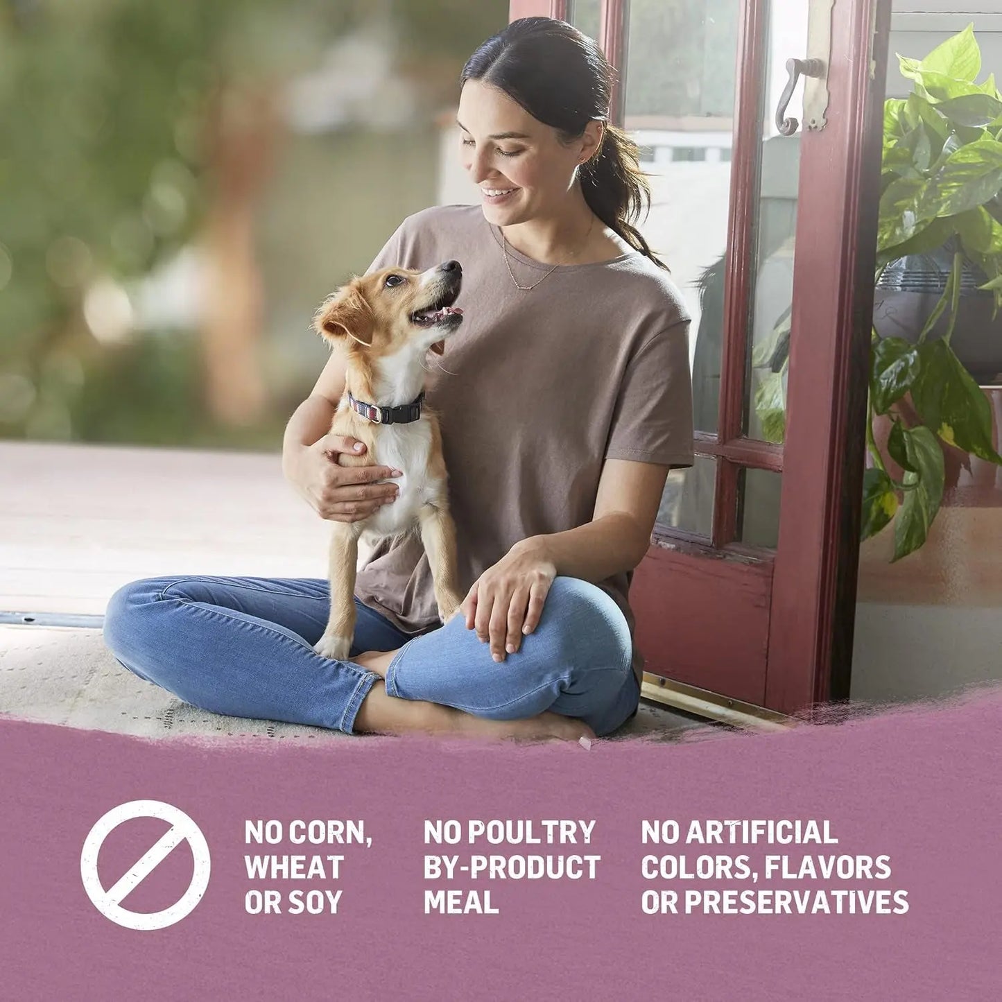 Purina High-Protein Small Breed Adult Dry Dog Food with Organic Chicken, Egg, and Carrot Recipe - 3 lb Bag
