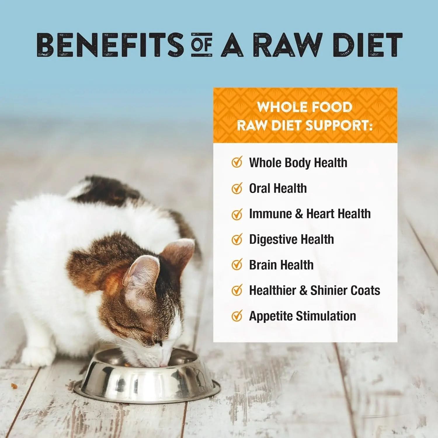 Freeze-Dried Duck Cat and Kitten Food – Bite-Sized Nibbles with Healthy, Limited, Human-Grade Ingredients – All-Natural, High-Protein, Complete and Balanced, Grain-Free – 11 Oz (Pack of 3)