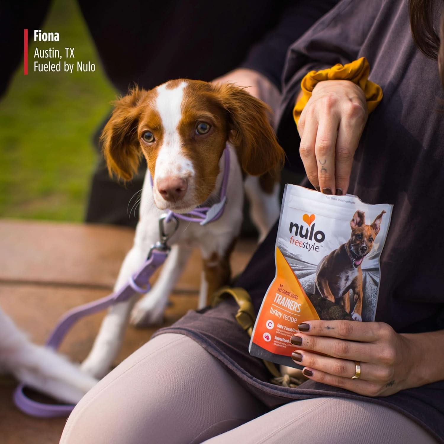 Grain-Free Low-Calorie Duck Recipe Training Treats for Dogs and Puppies, 4 Ounce Pouch