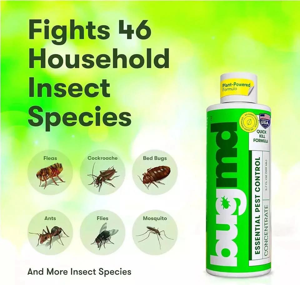 Bugmd Pest Control Essential Oil Concentrate for Home Bed Bug Spray 3.7Oz 1-2PCK