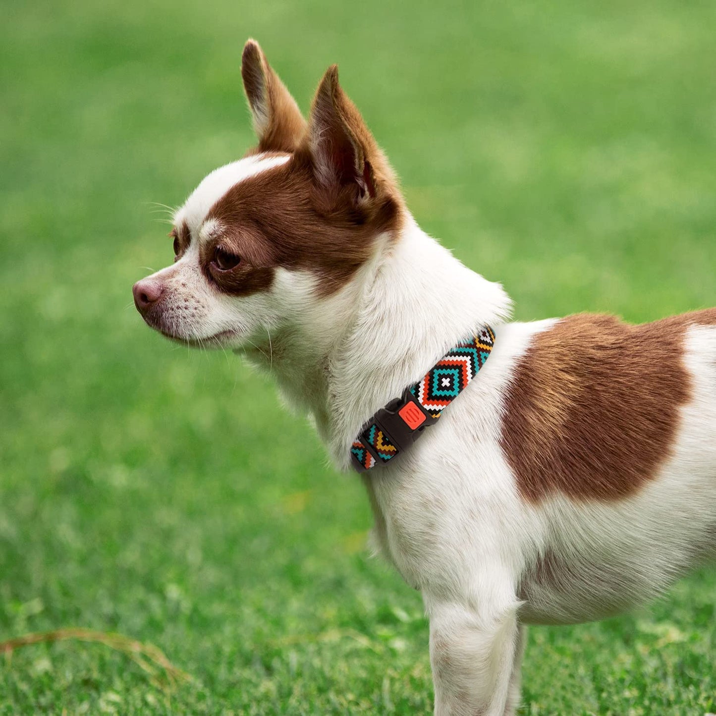Aztec Geometric Pattern Nylon Dog Collar in Teal, 10-13 Inch