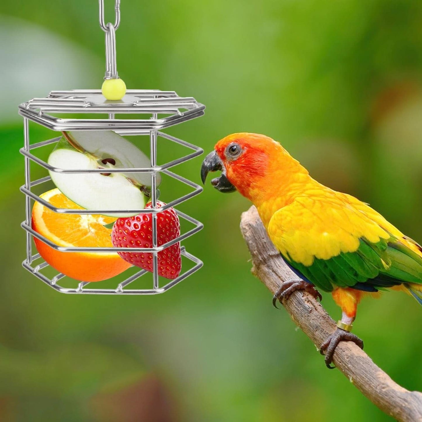 Stainless Steel Parrot Foraging Feeder, 4.09 x 4.09 x 3.85 Inches, Bird-Safe and Dishwasher Safe, Ideal for Nuts, Fruits, and Vegetables