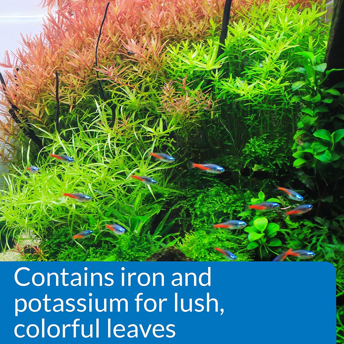Leaf Zone Freshwater Aquarium Plant Fertilizer, 18 oz Bottle, White