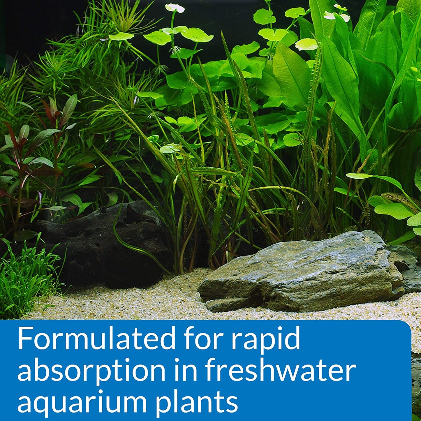 Leaf Zone Freshwater Aquarium Plant Fertilizer, 18 oz Bottle, White