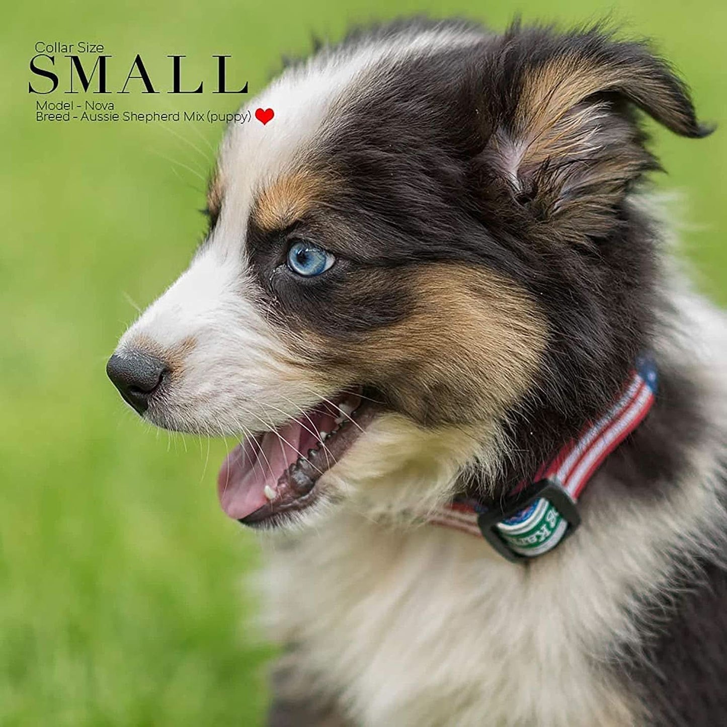American Flag Dog Collar - Classic Design Available in Five Sizes (Small)