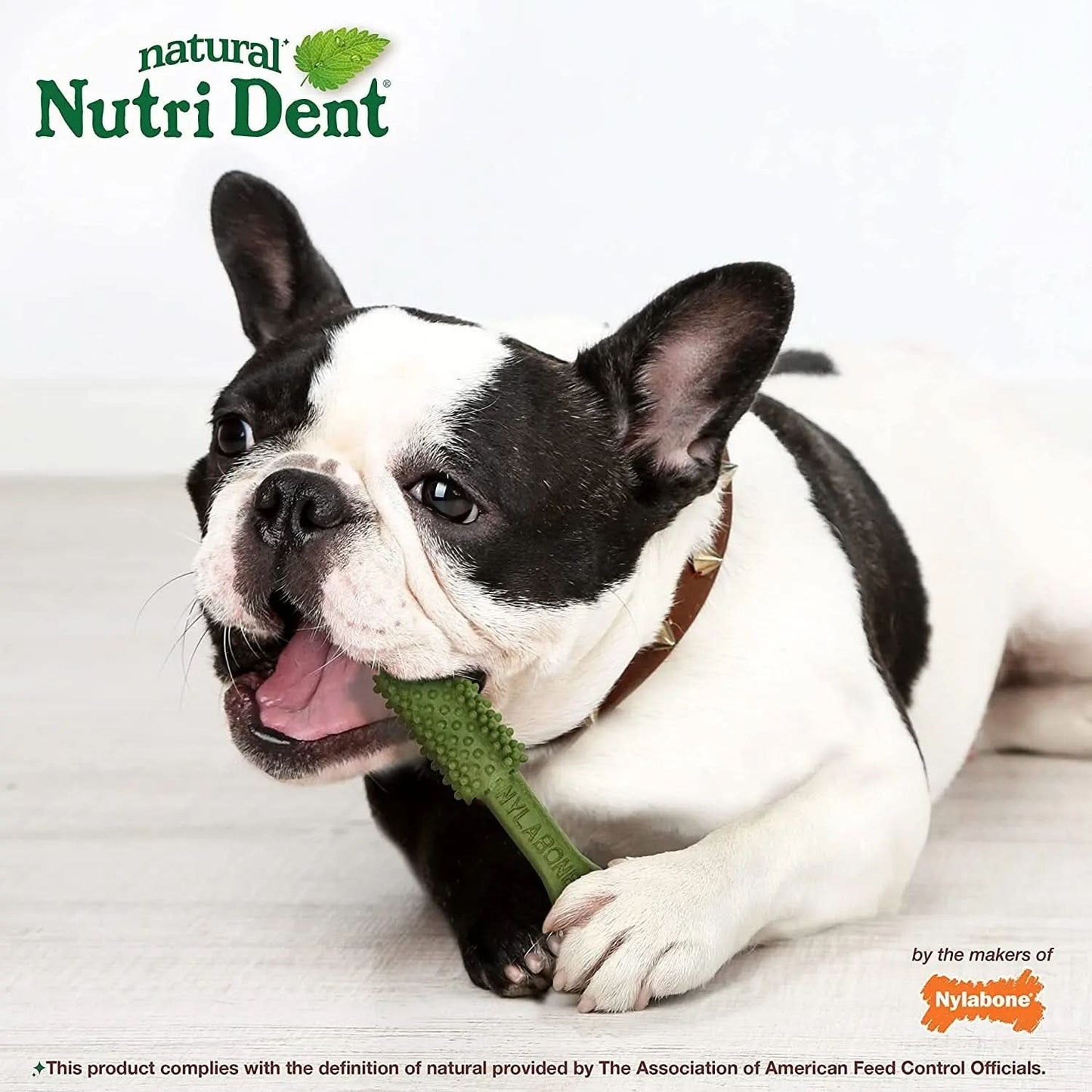 Nutri Dent Dental Treats for Dogs - Natural Teeth Cleaning and Breath Freshener - Fresh Breath Flavor, Medium Size (40 Count)