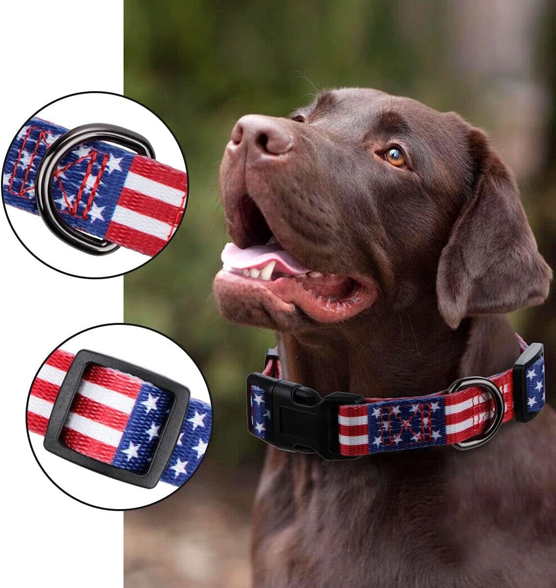 American Flag Dog Collar for Independence Day - Fourth of July Celebration - Small Size