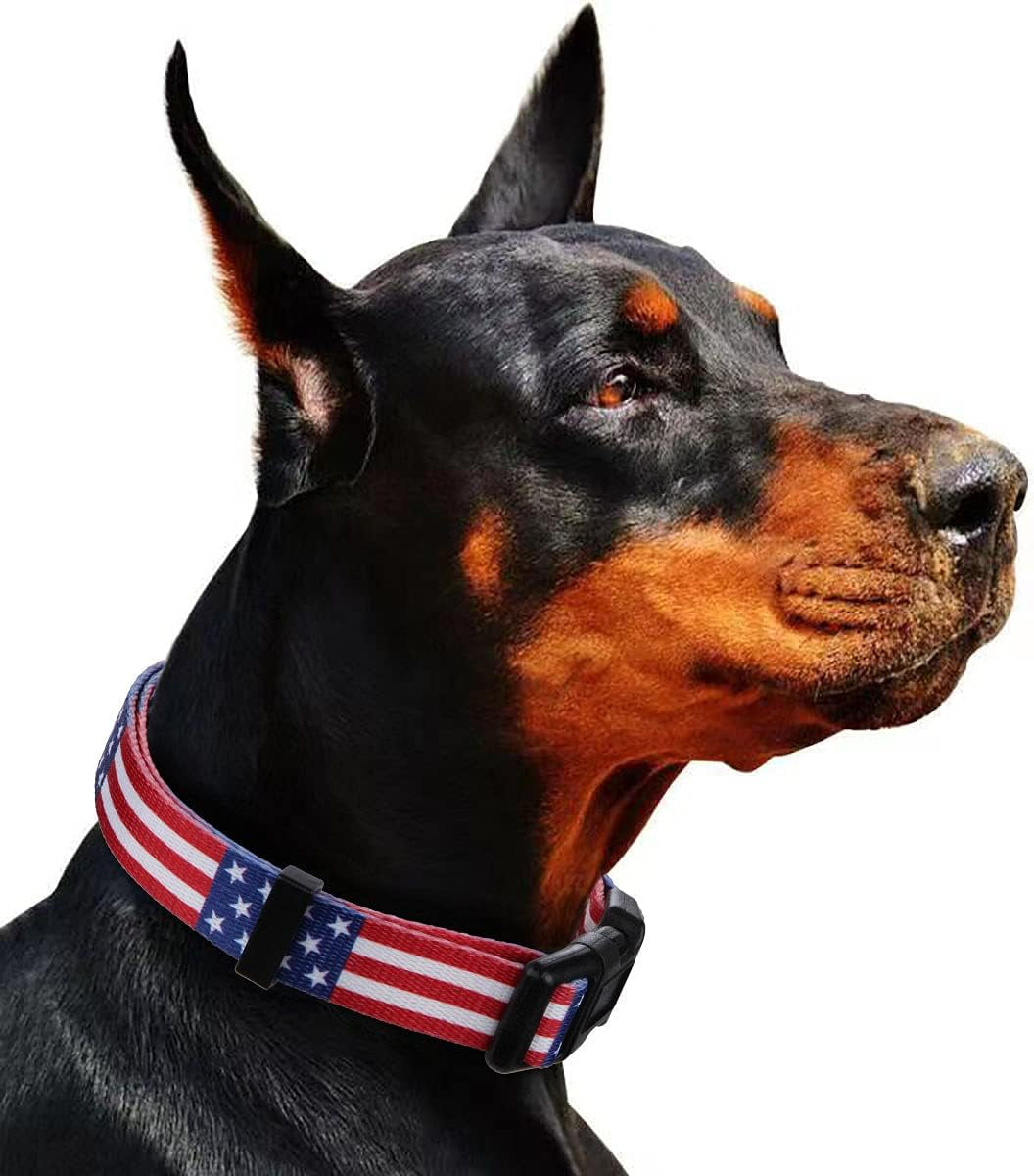 American Flag Dog Collar for Independence Day - Fourth of July Celebration - Small Size