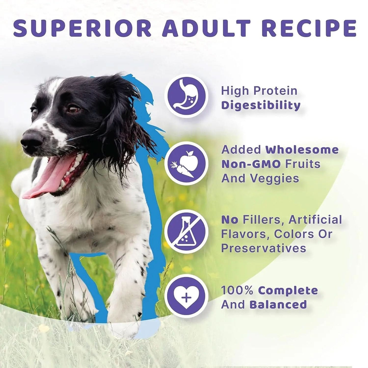 Grain-Free Adult Dry Dog Food, Surf & Turf Flavor, 4-Pound Bag
