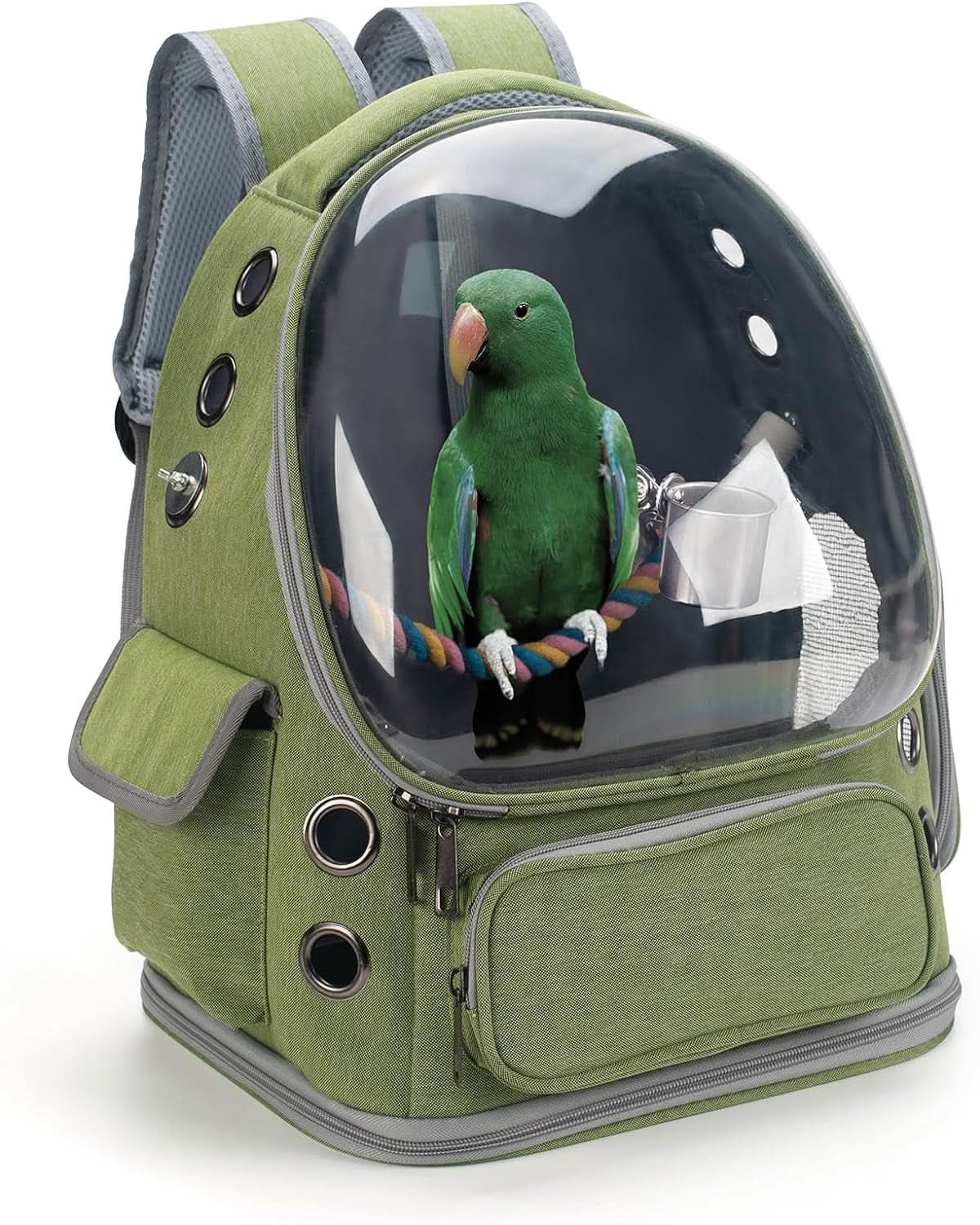 Bird Backpack Carrier Travel Cage with Perch, Tray, and Ventilated Clear Window for Cockatiels, Caiques, Conures, and Quakers - Ideal for Veterinary Visits, Camping, and Hiking (Green)