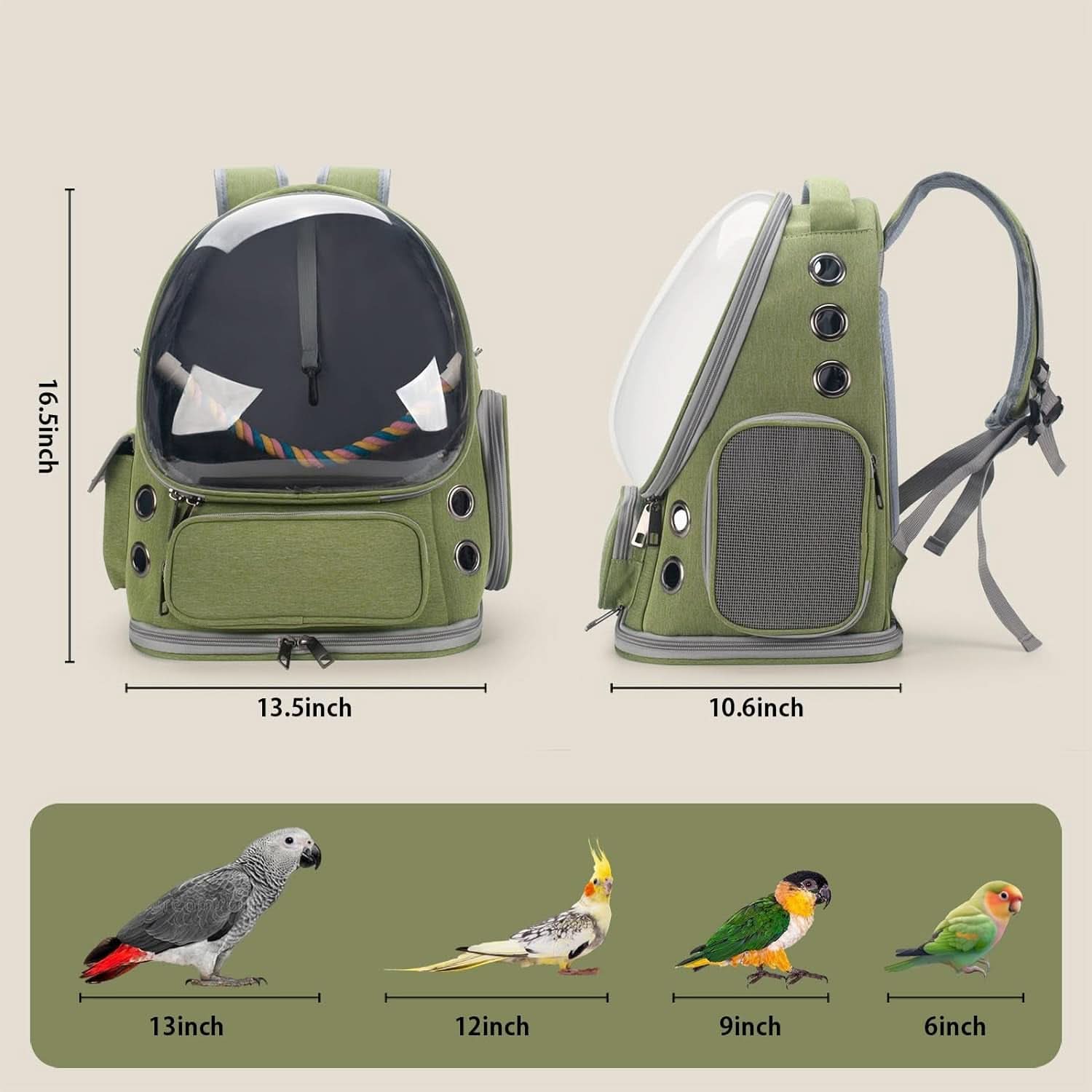 Bird Backpack Carrier Travel Cage with Perch, Tray, and Ventilated Clear Window for Cockatiels, Caiques, Conures, and Quakers - Ideal for Veterinary Visits, Camping, and Hiking (Green)