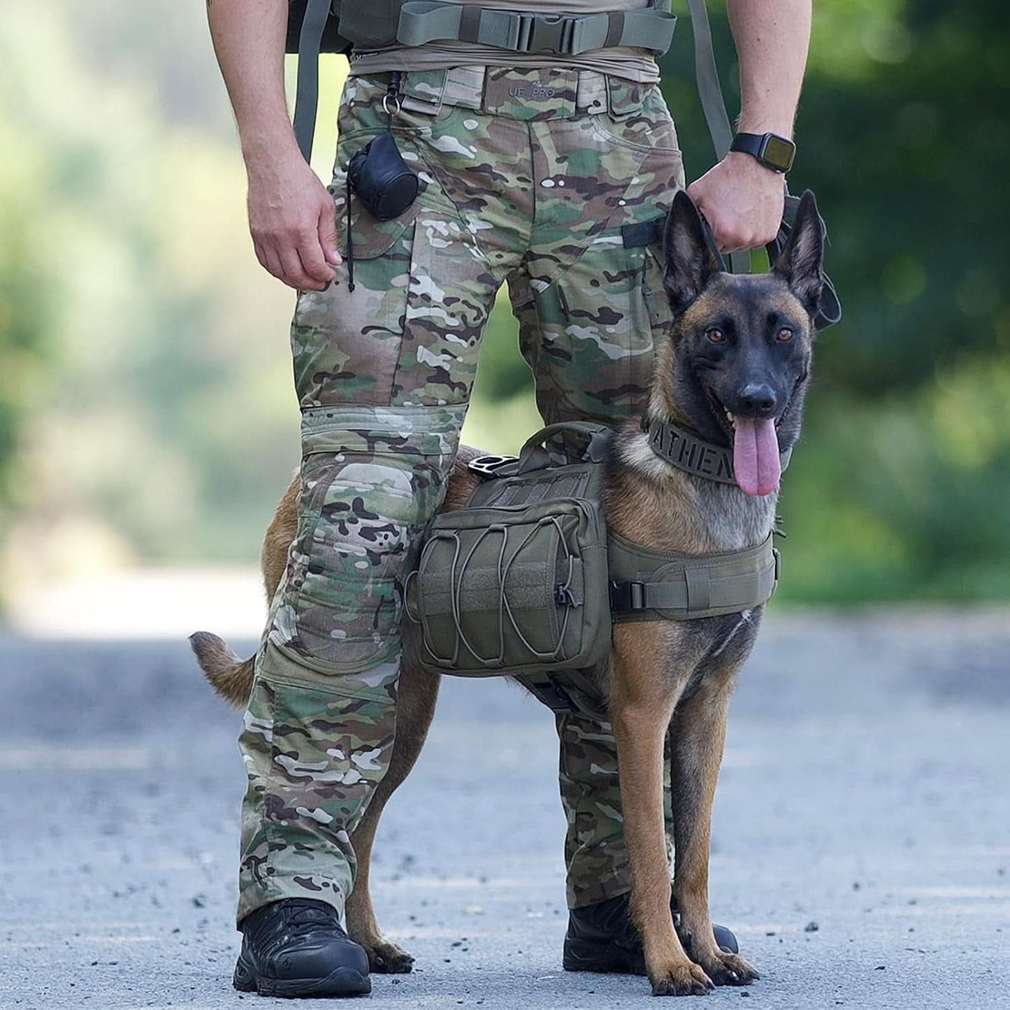 Tactical Dog Backpack for Medium and Large Breeds, Durable Nylon with Side Pockets for Hiking, Walking, Training, and Running (Green, Large)