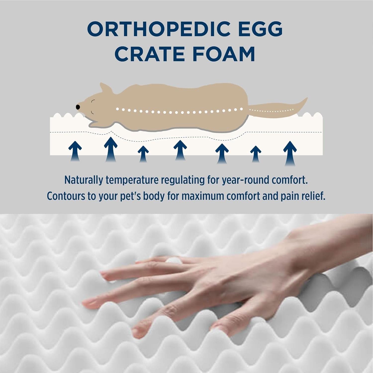 Medium Orthopedic Dog Bed - Removable Washable Cover with Egg Crate Foam, Ideal for Pets up to 35 lbs