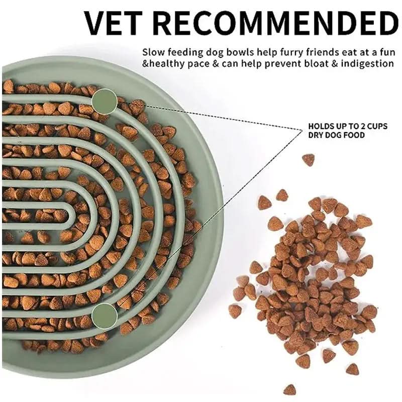 Slow Feed Anti-Slip Bowl for Cats and Puppies - Silicone Food Plate to Prevent Choking and Spills