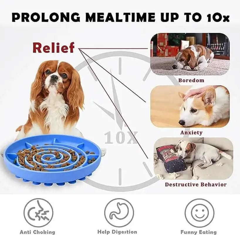 Slow Feed Anti-Slip Bowl for Cats and Puppies - Silicone Food Plate to Prevent Choking and Spills