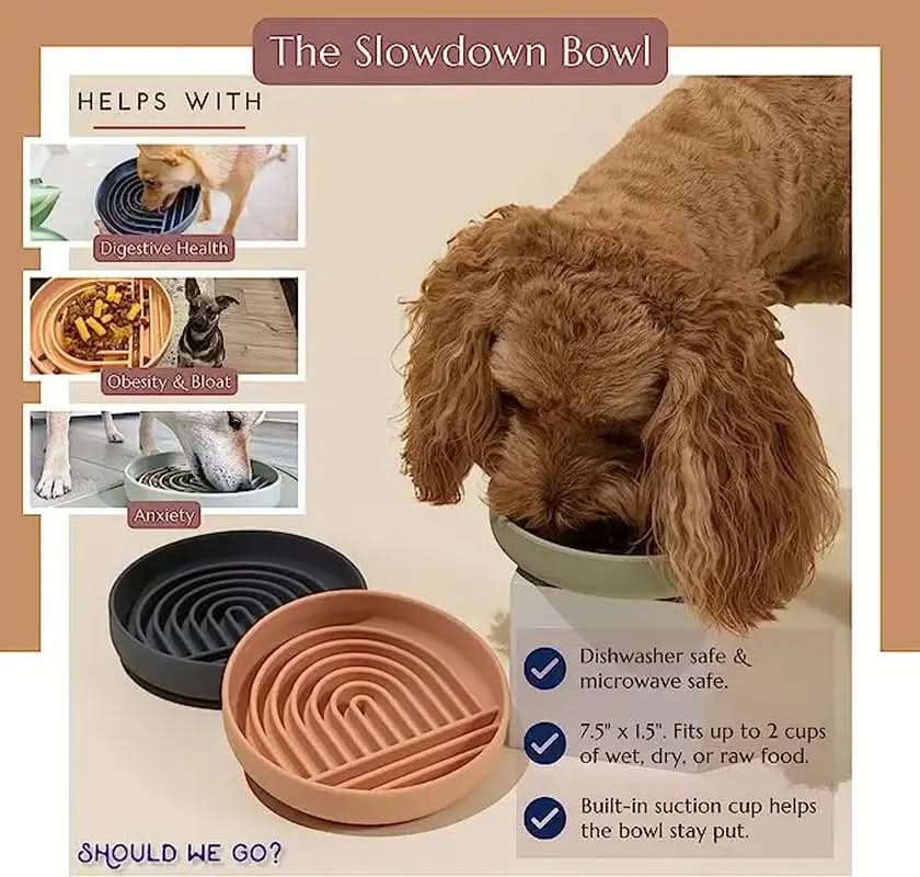 Slow Feed Anti-Slip Bowl for Cats and Puppies - Silicone Food Plate to Prevent Choking and Spills