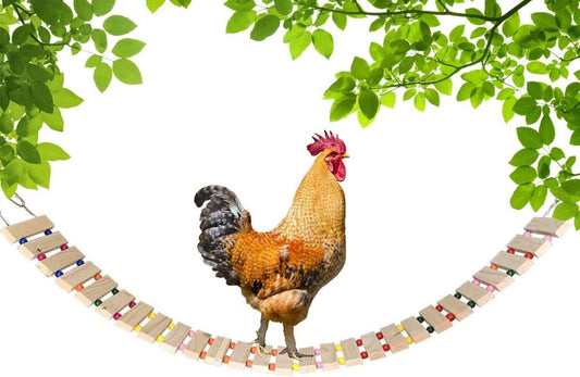 Natural Wood Chicken Coop Accessories - Ladder, Swing, and Perch for Hens, Roosters, and Chicks