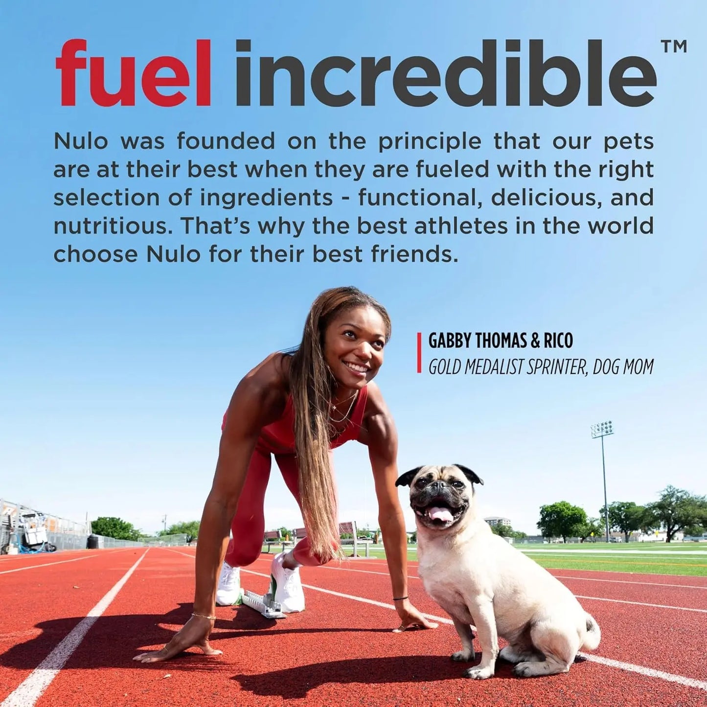 Freestyle Premium Grain-Free Dry Dog Food for Adults, Small Kibble with BC30 Probiotic for Digestive Health and High Animal-Based Protein, Free from Chicken and Egg Ingredients