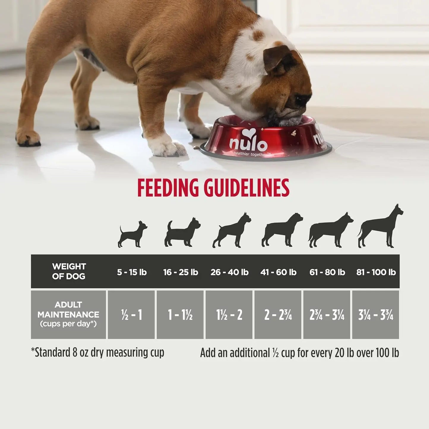 Freestyle Premium Grain-Free Dry Dog Food for Adults, Small Kibble with BC30 Probiotic for Digestive Health and High Animal-Based Protein, Free from Chicken and Egg Ingredients