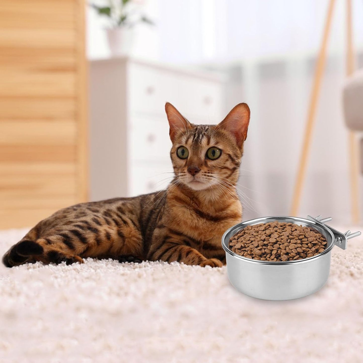 Large Stainless Steel Bird Food and Water Bowl for Parrots, Parakeets, Dogs, Cats, and Rabbits (5.5 x 2.3 inches)