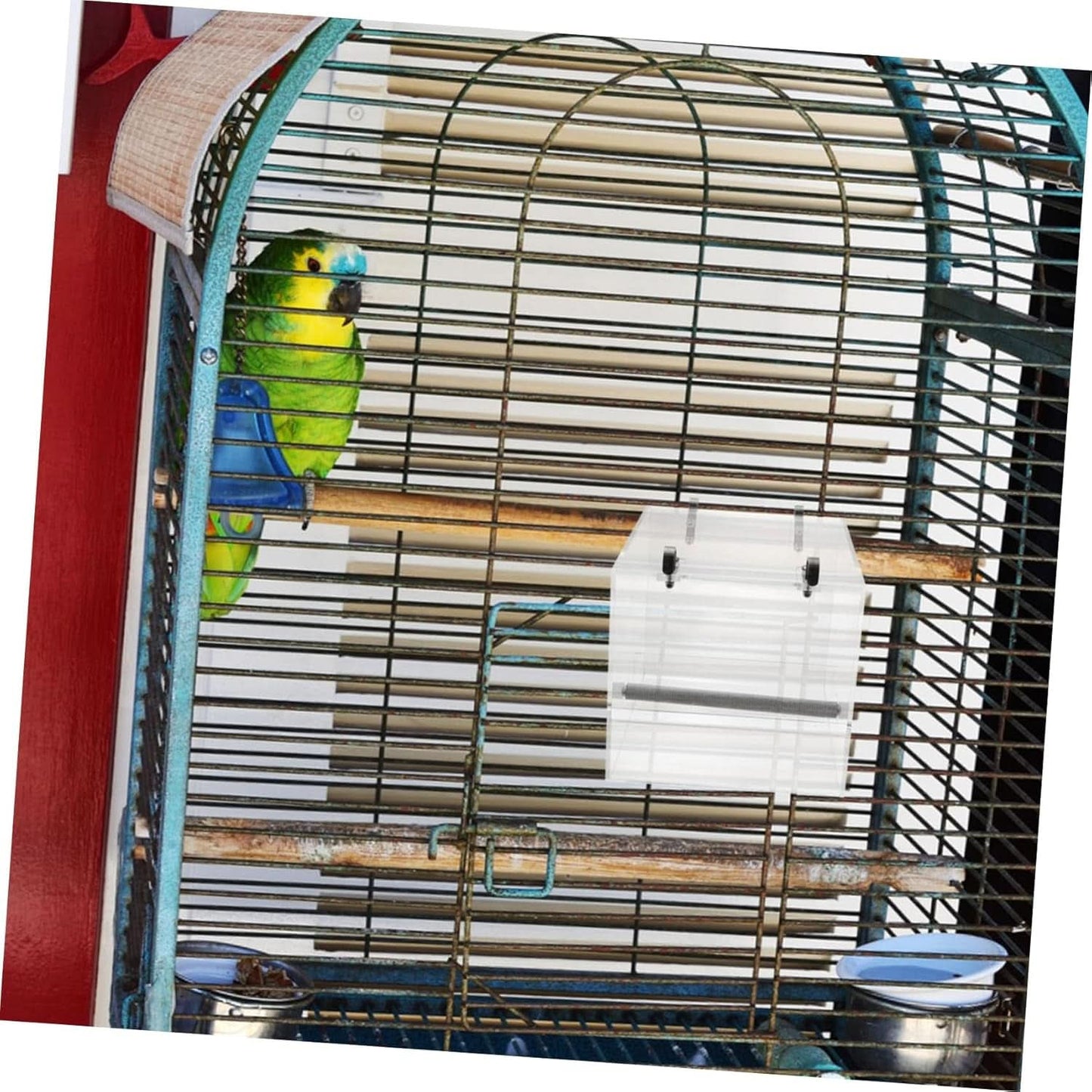 No-Mess Bird Feeder with Hooks - Premium Cage Accessories for Parrots, Parakeets, Canaries, Cockatiels, and Finches