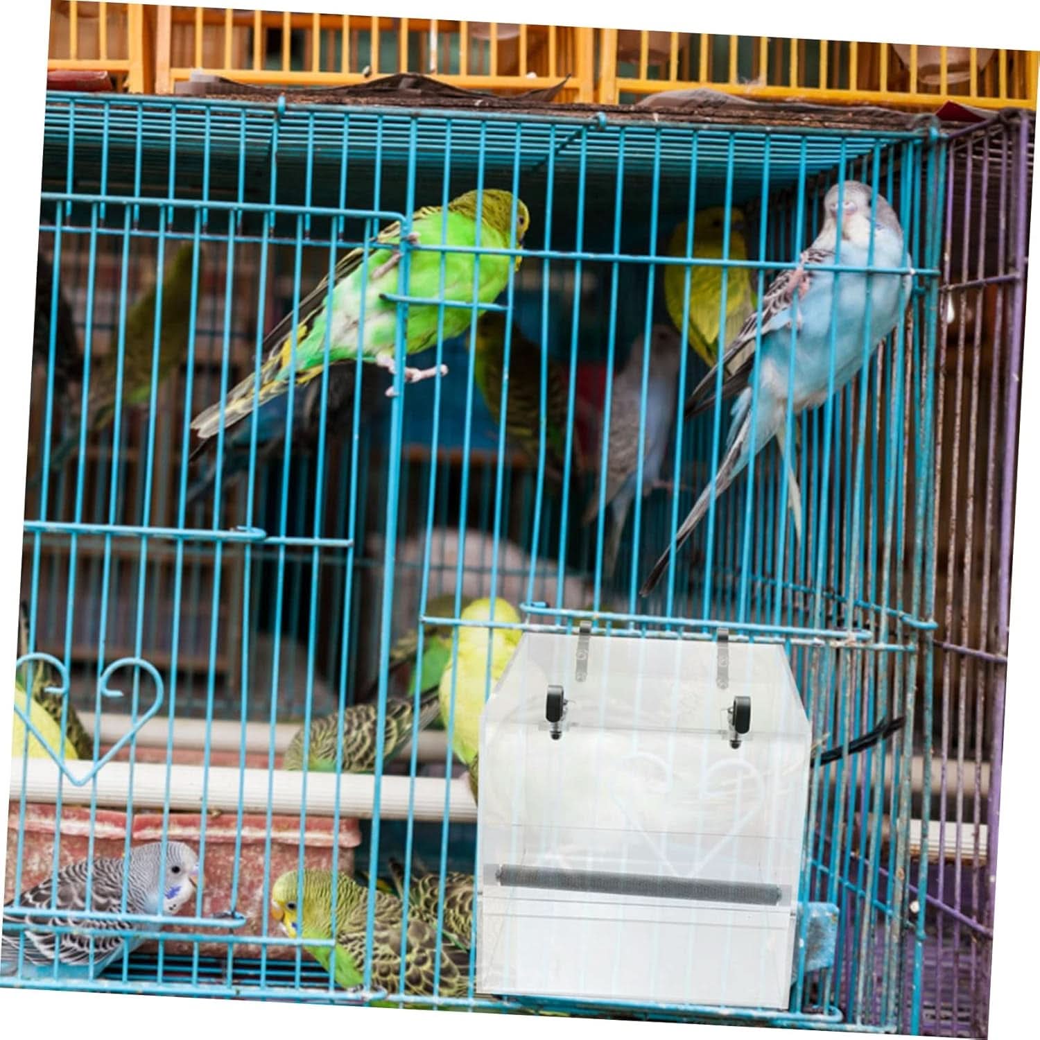 No-Mess Bird Feeder with Hooks - Premium Cage Accessories for Parrots, Parakeets, Canaries, Cockatiels, and Finches
