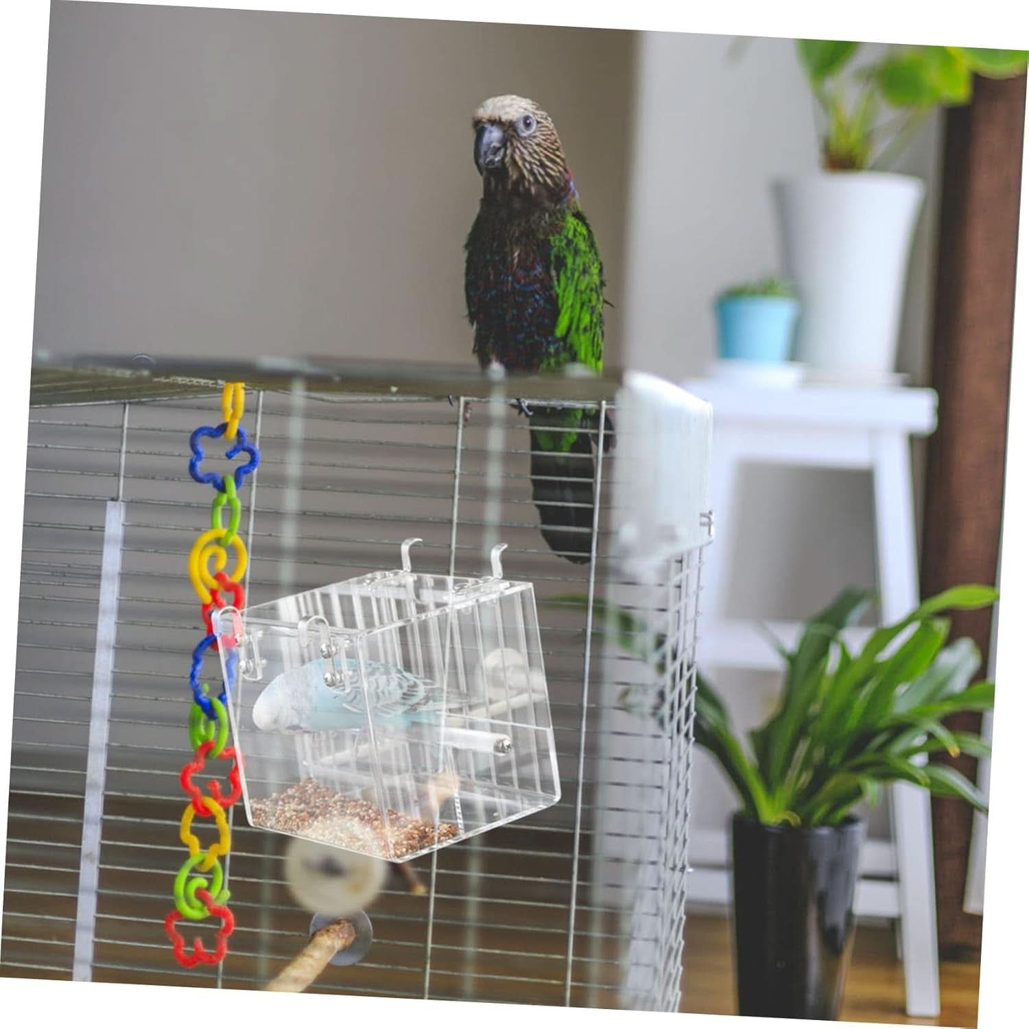 No-Mess Bird Feeder with Hooks - Premium Cage Accessories for Parrots, Parakeets, Canaries, Cockatiels, and Finches
