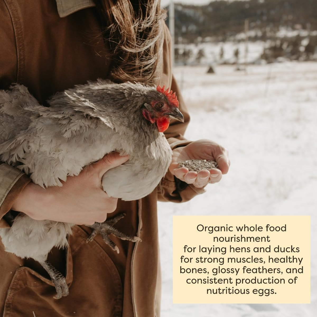Organic Whole Grain Layer Pellets for Chickens and Ducks - 25 lb Bag - Corn-Free, Soy-Free, 16% Protein, Non-GMO Project Verified