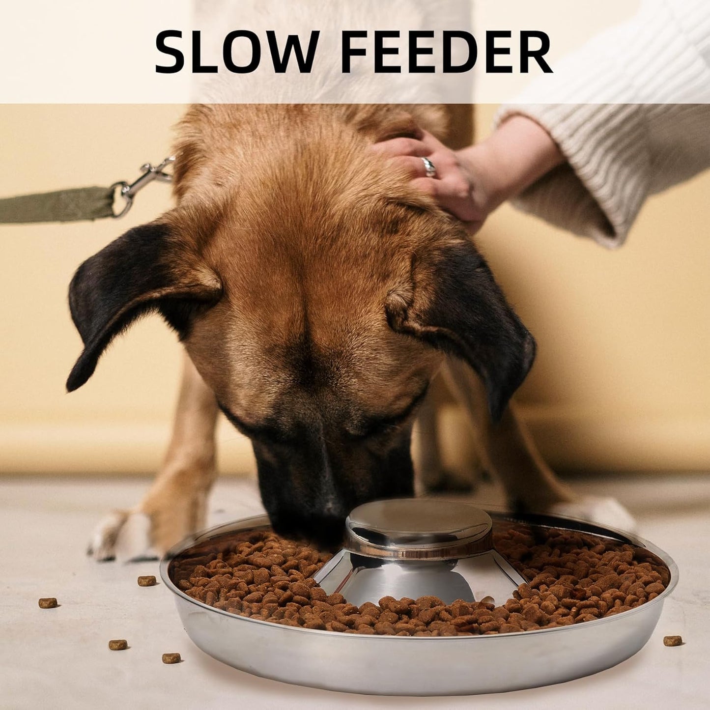 Stainless Steel Dog Bowls Set of 2 - Food and Water Feeders for Small, Medium, and Large Dogs