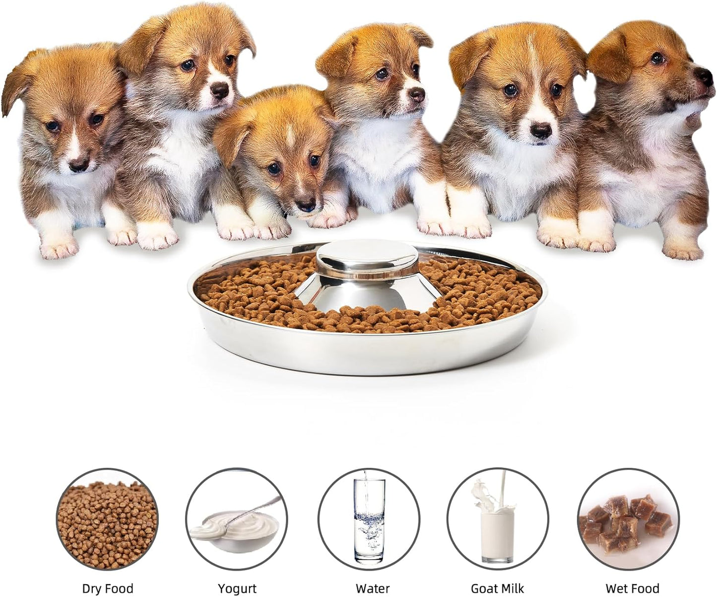 Stainless Steel Dog Bowls Set of 2 - Food and Water Feeders for Small, Medium, and Large Dogs