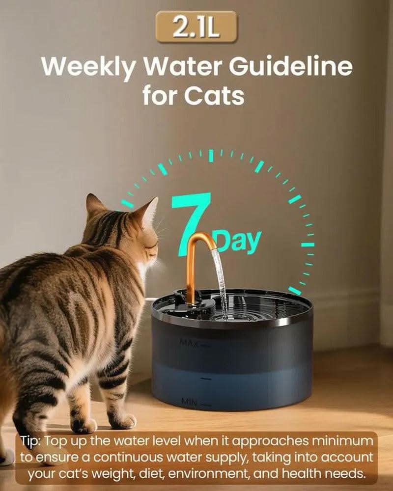 DOOOB Matte Black Ultra-Quiet Cat Water Fountain | 2.1L + 6-Layer Filter + Copper Spout + Night Light