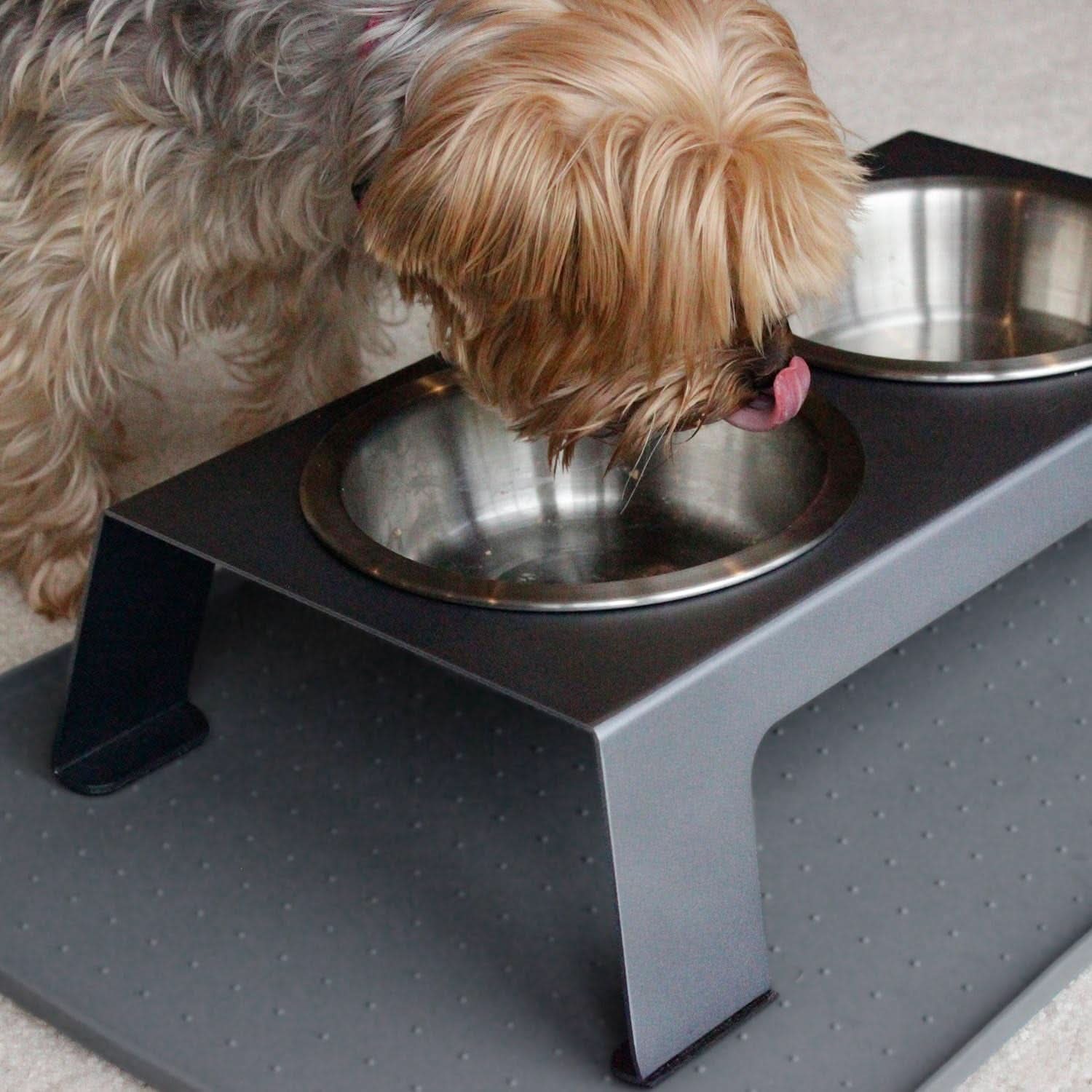 Elevated Dog and Cat Bowls - Premium Anodized Aluminum Feeder (Short 4") with Food Grade Stainless Steel Raised Bowls, Metallic Gray