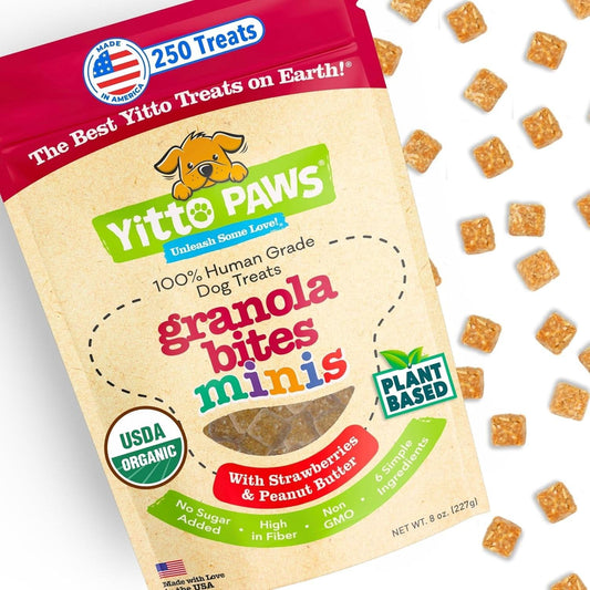 Delicious Organic Mini Dog Training Treats – Crunchy Vegan Biscuits with Strawberry & Peanut Butter – Perfect for Small Dogs and Puppies (8 Oz)