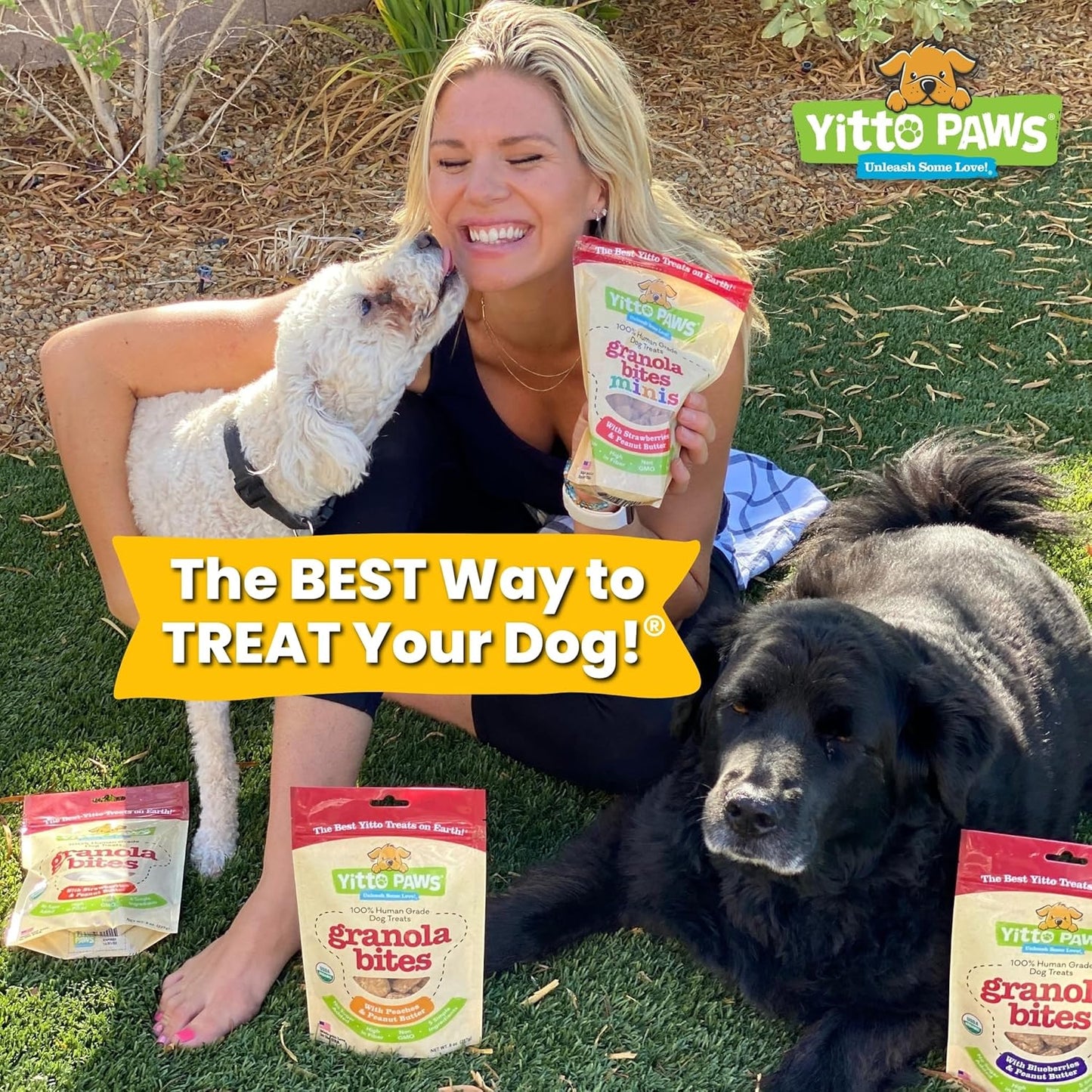 Delicious Organic Mini Dog Training Treats – Crunchy Vegan Biscuits with Strawberry & Peanut Butter – Perfect for Small Dogs and Puppies (8 Oz)