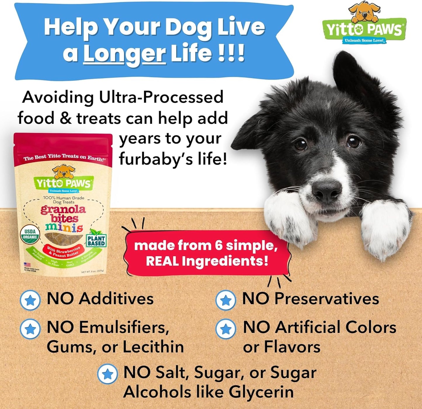 Delicious Organic Mini Dog Training Treats – Crunchy Vegan Biscuits with Strawberry & Peanut Butter – Perfect for Small Dogs and Puppies (8 Oz)