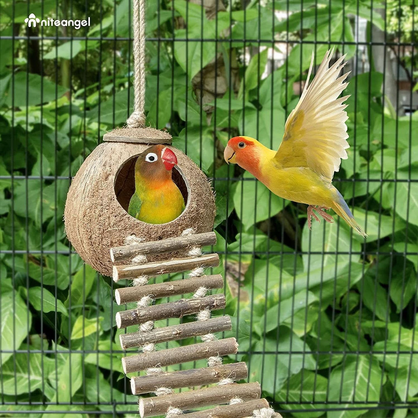 Natural Coconut Hideaway with Ladder for Birds and Small Animals