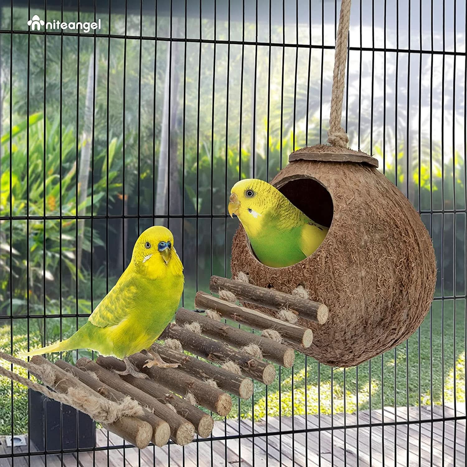 Natural Coconut Hideaway with Ladder for Birds and Small Animals